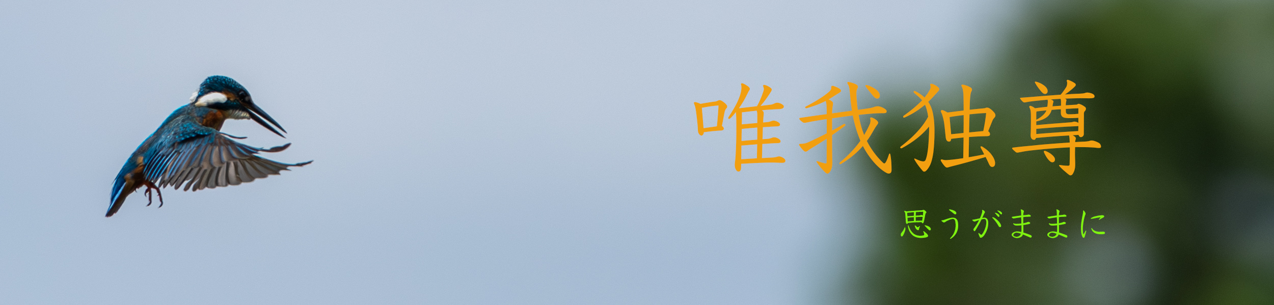 唯我独尊